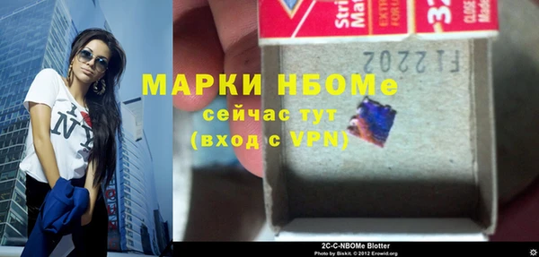 твердый Краснослободск