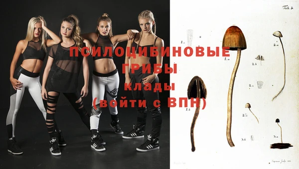 дурь Лагань