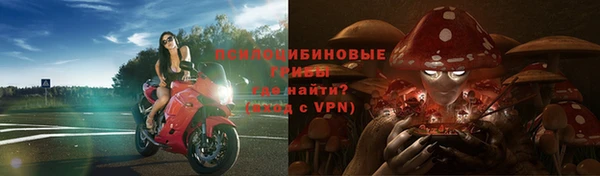 дурь Лагань